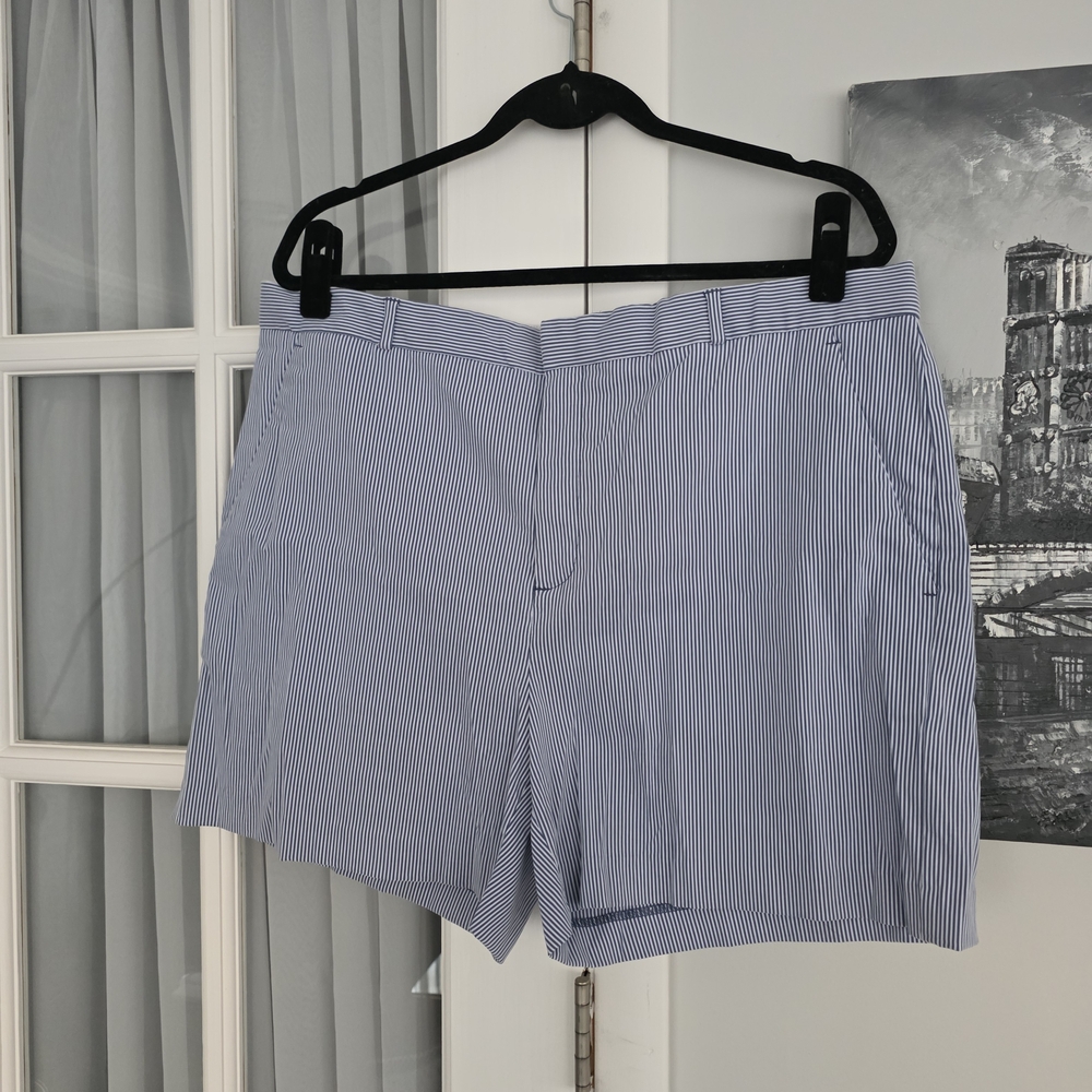 Banana Republuc Factory 5" Shorts